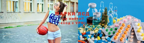 трава Зерноград