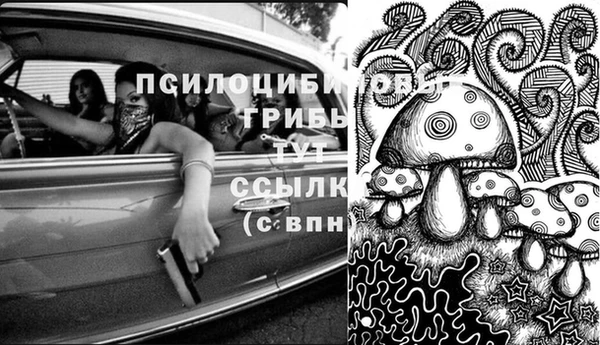 ALPHA-PVP Зеленокумск