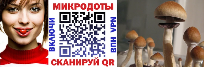 Купить где  Асбест  Псилоцибиновые грибы мухоморы 